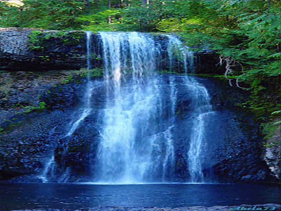 RELAXARE IN NATURA PENTRU TRUP, MINTE SI SUFLET