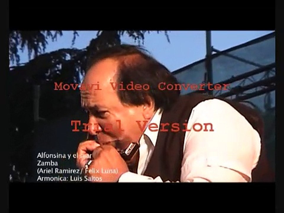 LUIS SALTOS ARMONICA - Alfonsina y el mar (Zamba)