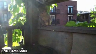 Squirrel Kiss