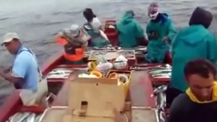 Balıkçılar oltayla rekor balık yakaladı