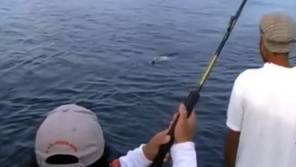 Balıkçının başına gelen talihsiz olay korkuttu!!!