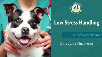 What’s Wrong With Her Technique?