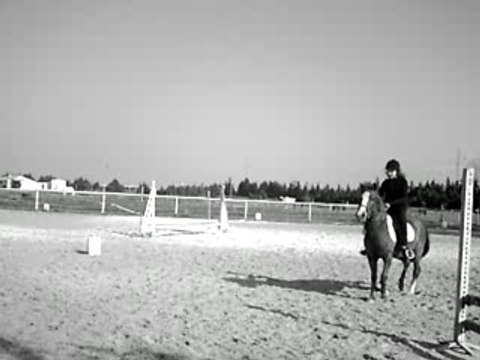 Saut sur l'oxer avec Le Prince