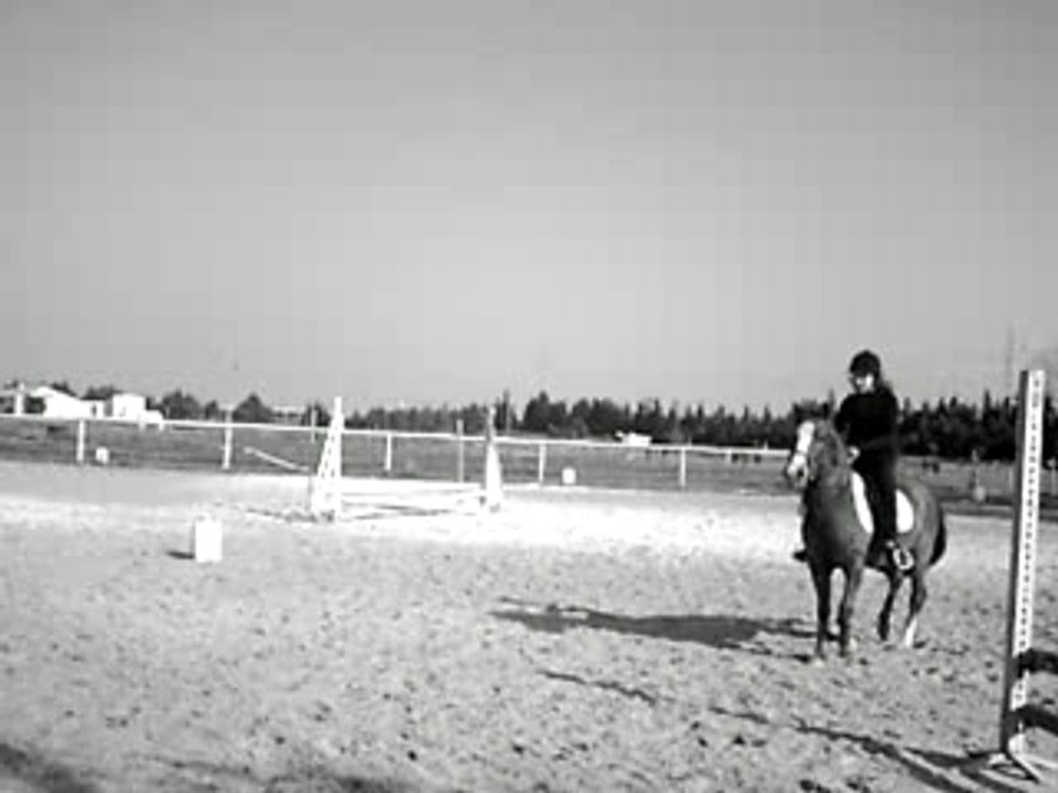 Saut sur l'oxer avec Le Prince