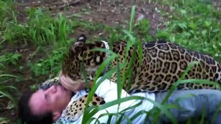 Jaguar Attack