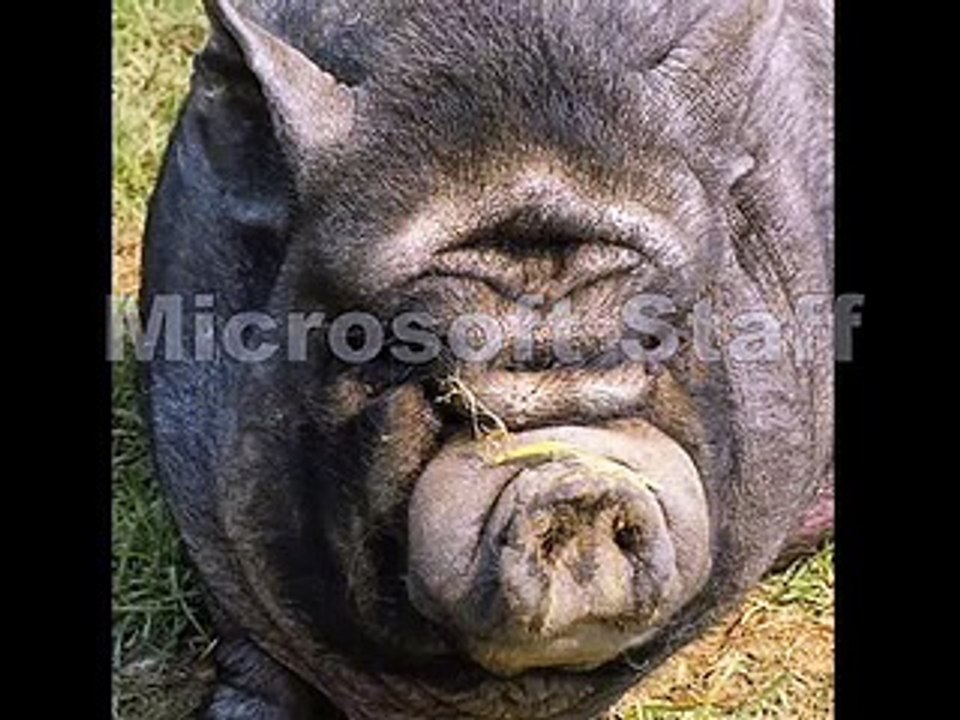 The Journey To Fix My Broken Xbox 360