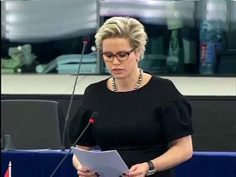 Laurence Stassen PVV over de voorbereiding van de Europese Raad 19  20 december 2013