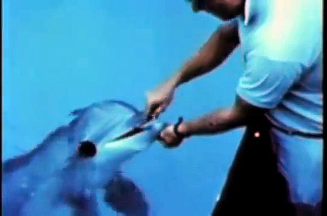 Rewarding the Original