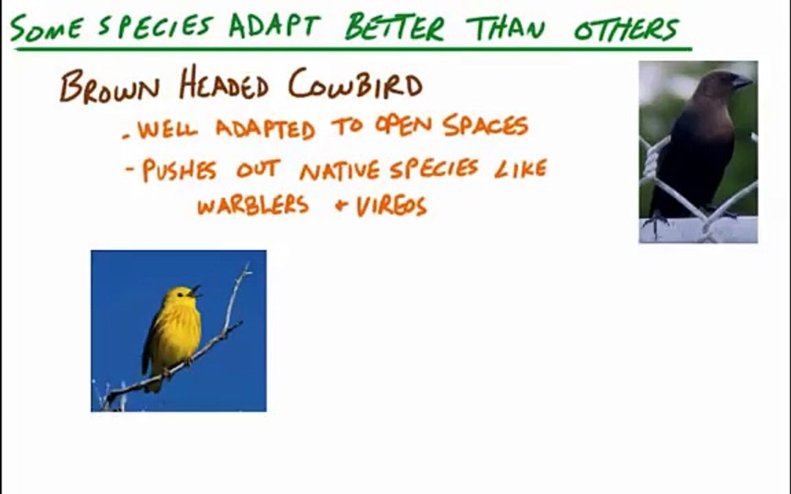 Science 7 - Unit 1 - Topic 6