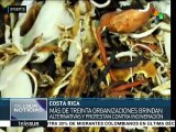 Costa Rica: ecologistas rechazan la incineración de residuos