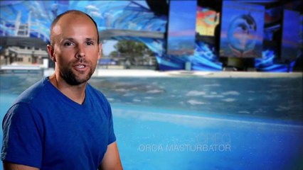If SeaWorld Commercials Told the Truth