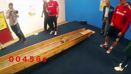 Dünyanın en hızlı kaplumbağası o !