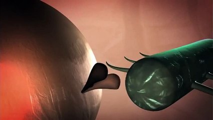 Fighting an infection