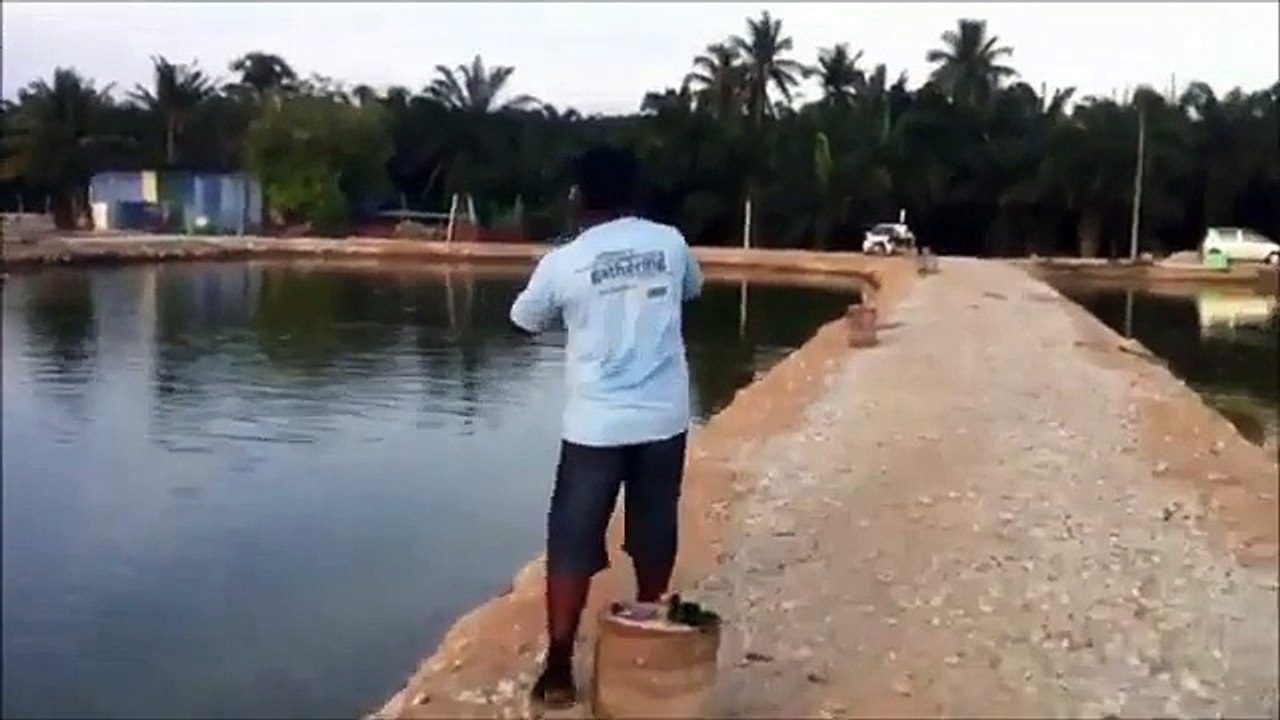 FishingSifu com Video 77 8 Kanicen Nix Fighting GT with UL 1lb