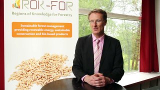 Interview with Professor Antti Asikainen, Finnish Forest Research Institute