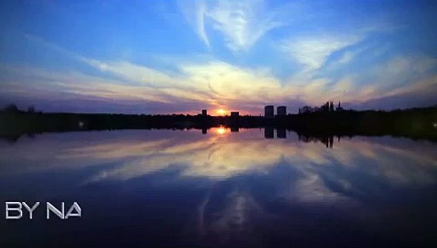 Funny Pigs Mating Breeding Animals Mating