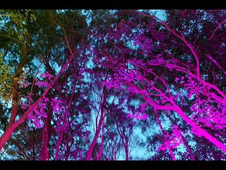 Electric Universe - Sonic Ecstasy