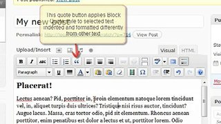Using the Wordpress text editor toolbar
