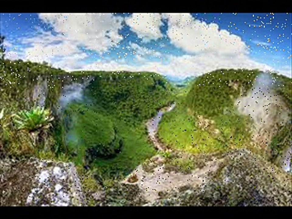 FORET AMAZONE