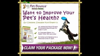 Pet Vitamin your cat and dog