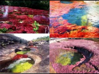 los fenómenos naturales más extraños de la tierra