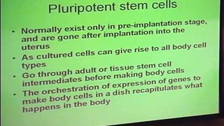 Dr. Irving Weissman's Stem Cell Presentation Part 2