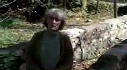 los puentes de madison y mana.