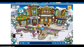 the funny thing about my puffle