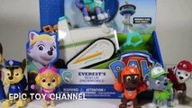 NEW PAW PATROL Pup  Everest  Unboxing by EpicToyChannel with Marshall, Chase + Other Paw Patrol Pups