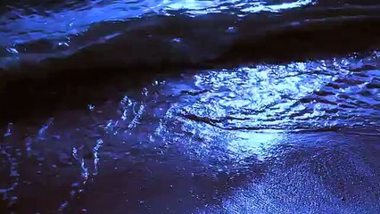 Adnan jutt 03438094606