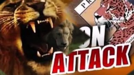 Animal Attacks In Africa videos - Dailymotion