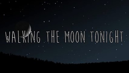 Minority 905 - Moonwalker Official Lyric Video