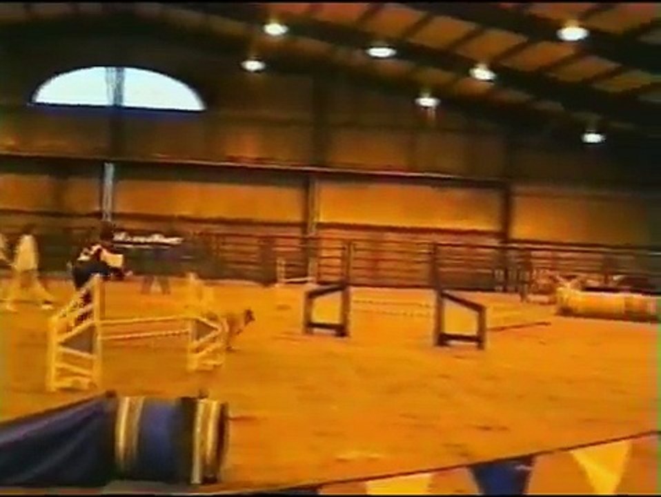 Competitive Agility Training with Jane Simmons-Moake- Advanced Skills Training (Deutsch)