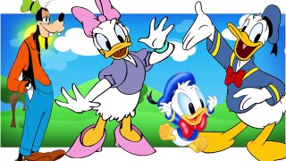 Donald Duck Finger Family Collection Donald Duck Cartoon Animation Nursery Rhymes For Chil