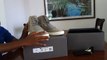 perfect replica Adidas Yeezy 750 boost unboxing