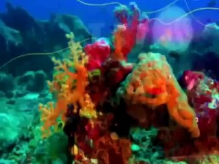 Зиг и Шарко Cartoon Episode 5 6