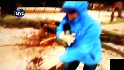 Funny Videos Try not to Laugh - Best Funny Fails - Funny Animals