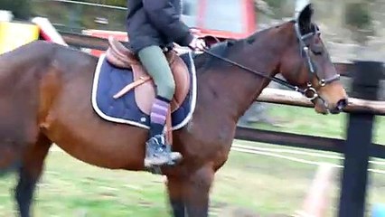 tentative galop à droite