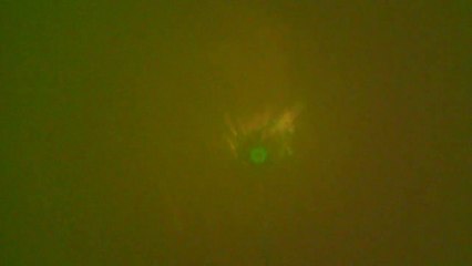 Peche du Silure au teaser water wolf hd underwater camera 09.09.2015 Meuse Belgique