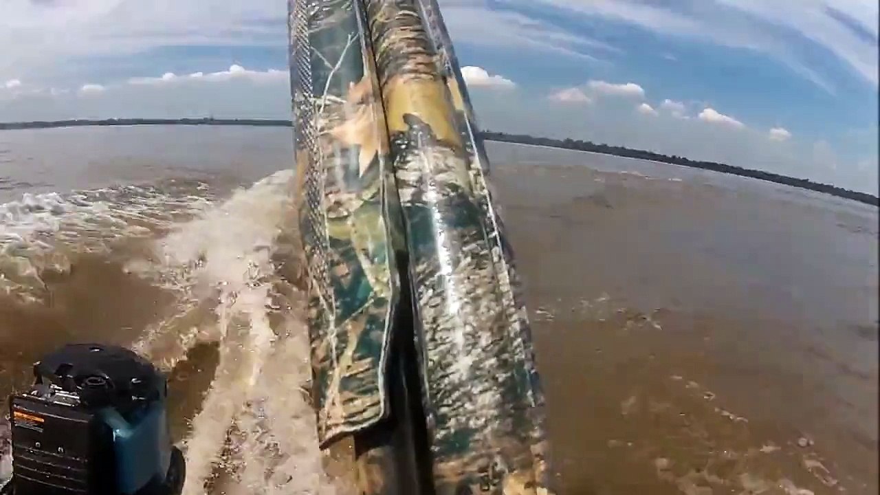 Asian Carp Target Practice