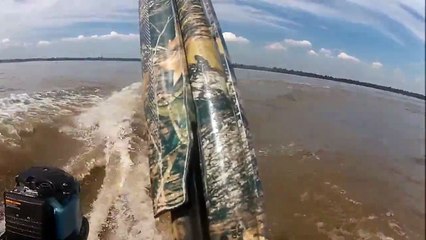 Asian Carp Target Practice