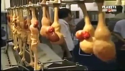 Des poubelles toxiques dans nos assiettes