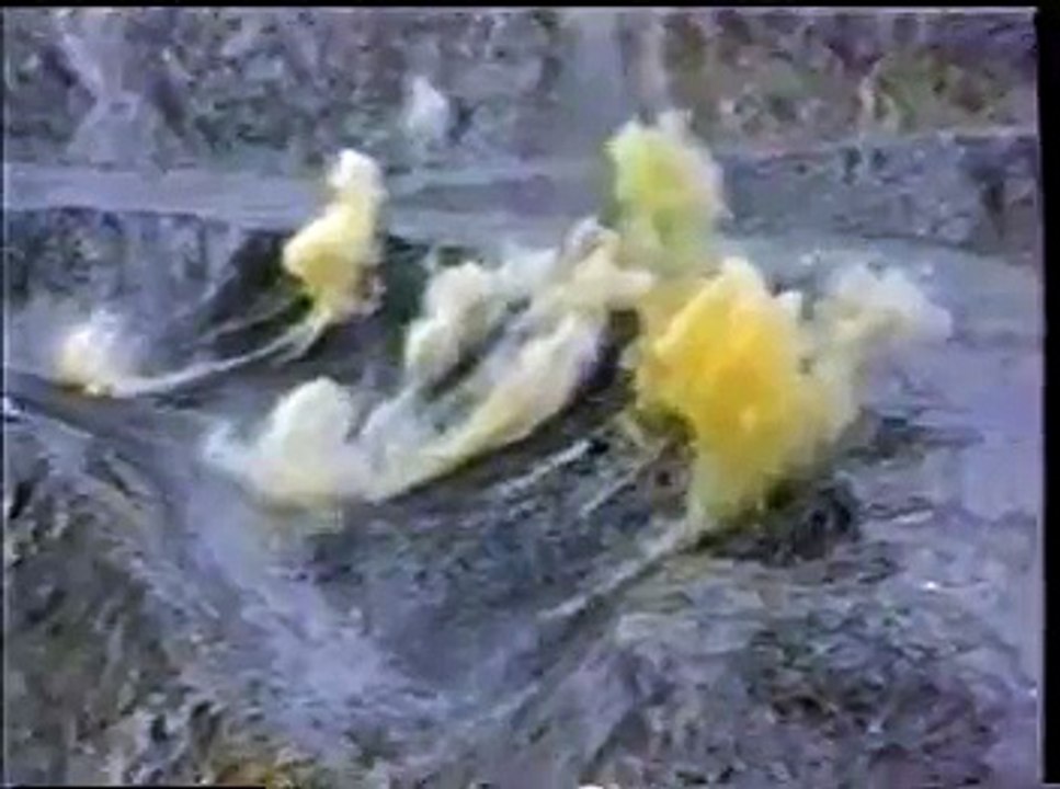 マレーシア東マムート鉱山（解説：宇井 純）