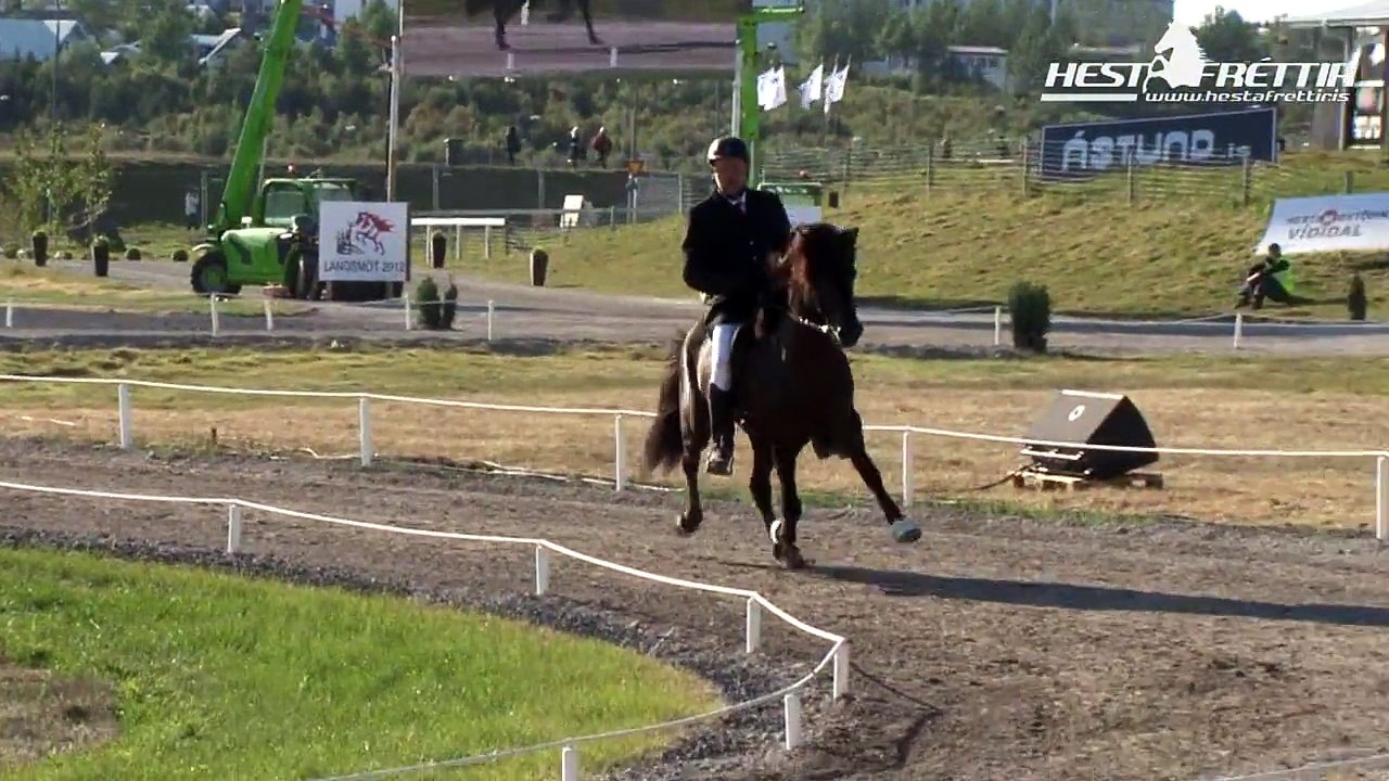 Loki selfoss