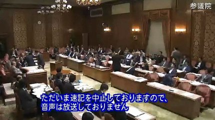 停戦合意崩れている／南スーダンＰＫＯ　井上氏が指摘/参院安保特