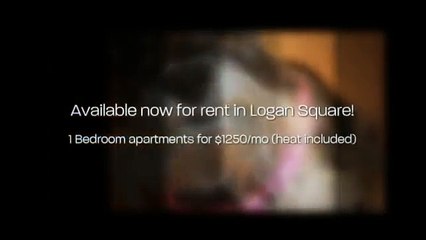 1 Bedroom Apartments for Rent in Logan Square in Chicago