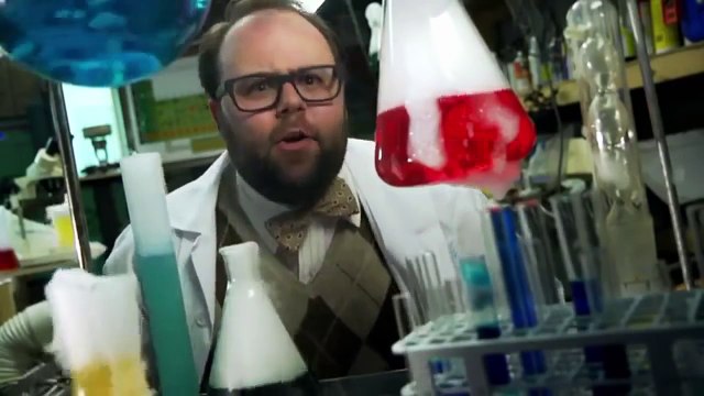 Les appendices -vulgarisateur vulgaire-