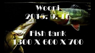 Wooni Fish tank 2015. 9. 10