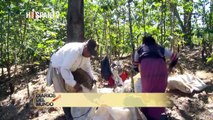 Indígenas guatemaltecos sufren crisis alimentaria