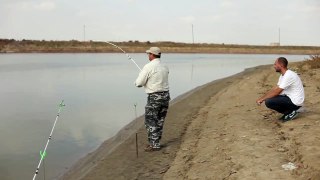 Ловля 20 кг сома. река Урал. Казахстан.